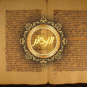 حاشية في الفقه الشافعي لم تحقق من قبل